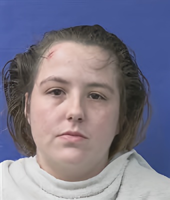 Mugshot of DESTINY FRISBY