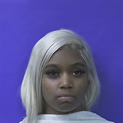 Mugshot of KAYLEIGH TORRENCE