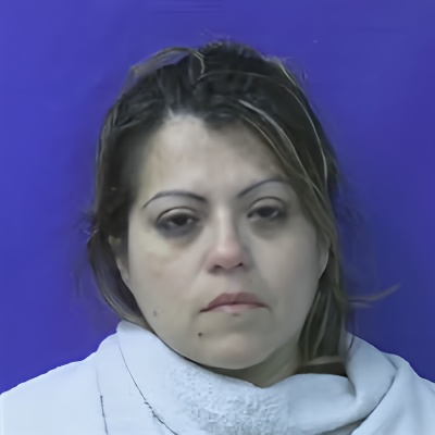 Mugshot of DIANA CASTLELAND