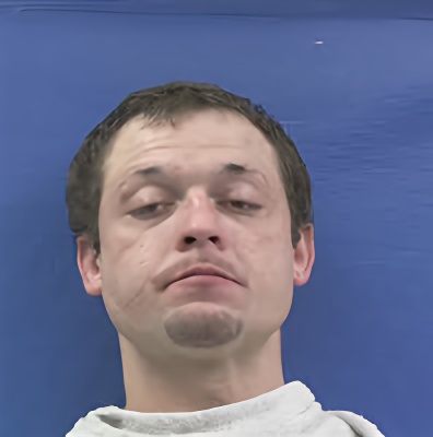 Mugshot of BRANDON LEE DAVIS