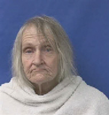 Mugshot of Paula Kay Higgins