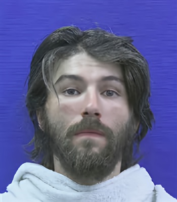 Mugshot of Ryan Allen Johnson
