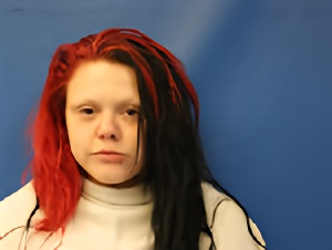 Mugshot of JOSEFINA ROSALINDA MARIN