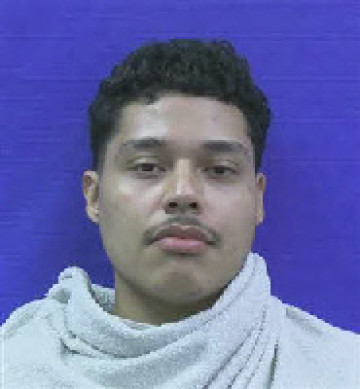Mugshot of LUIS HERRERA