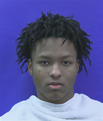 Mugshot of MARK PINKAS