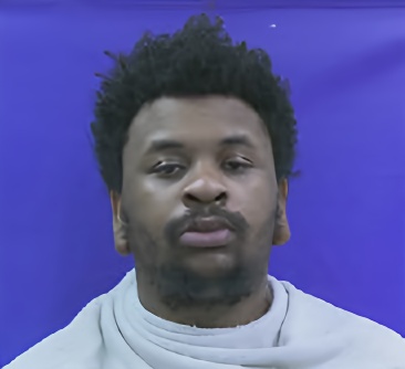 Mugshot of JAMARION NEWTON