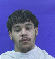 Mugshot of HOUSTON PICKENS