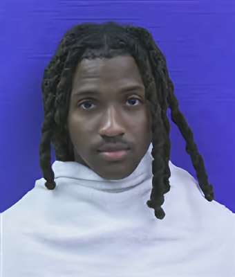 Mugshot of TRAYDEN DARELL PETTY