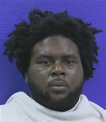 Mugshot of RAPHEAL PALMER