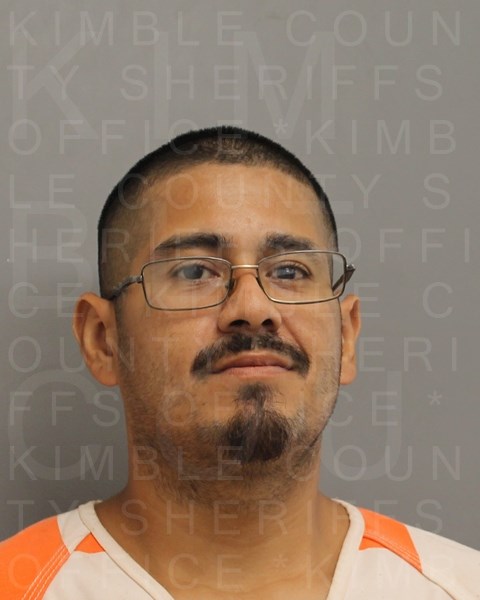 Mugshot of LUIS ENRIQUE VALDEZ