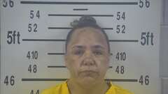Mugshot of JESSICA TREVINO