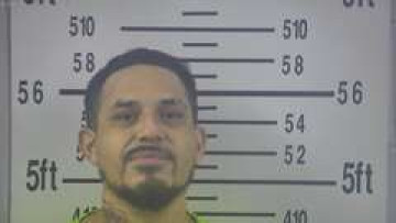 Mugshot of LARRY ALANIZ