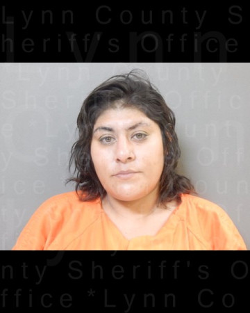 Mugshot of BRITTANY GUADALUPE PEREZ