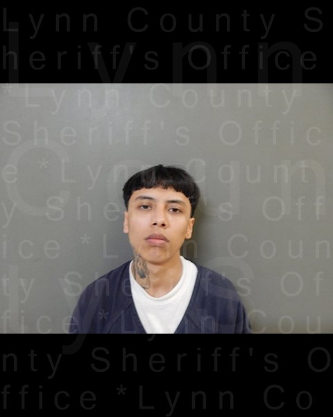 Mugshot of ZANAIAH NUNEZ