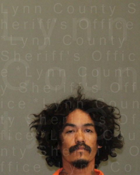 Mugshot of JESUS M JR LIENDO