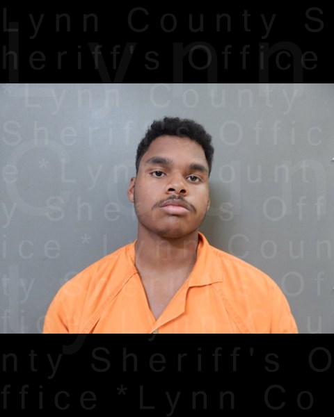 Mugshot of ROBERT LEVI MCGAHA