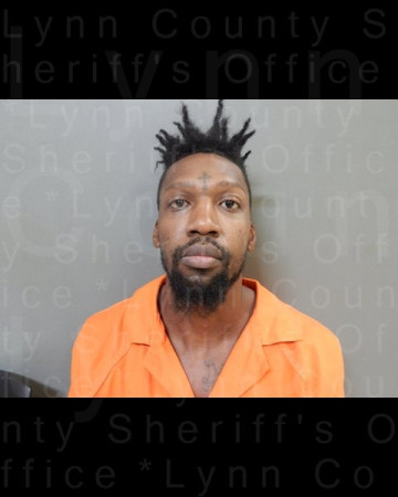 Mugshot of MORGAN DIONE AUSBIE