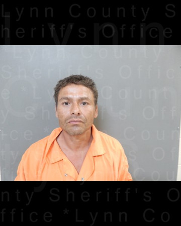 Mugshot of GEORGE JR LIENDO