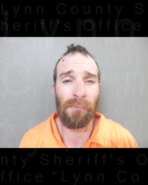 Mugshot of WILLIAMS ROBERT STANABACK