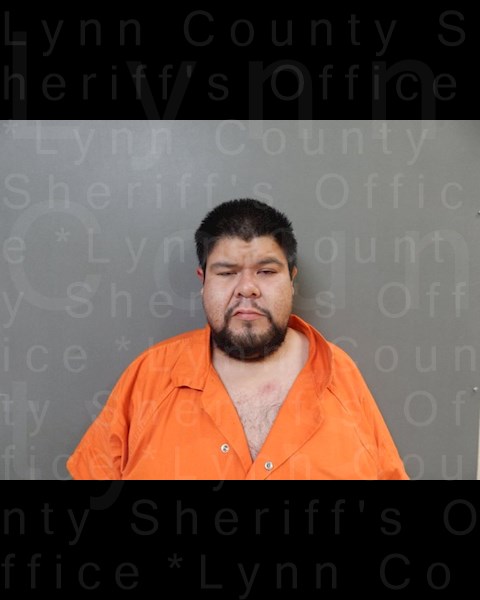 Mugshot of ADOLFO GUADALUPE ENRIQUEZ-SAMORA
