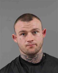 Mugshot of DYLAN JOEL REDWINE