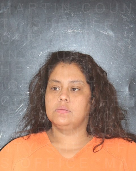 Mugshot of DESTINY ROSE ORTIZ