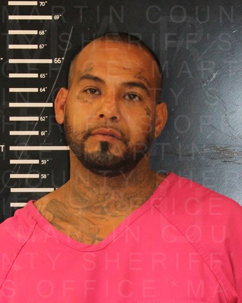 Mugshot of AVELARDO CASTILLO