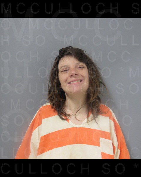 Mugshot of CAITLYN NICOLE FLINT