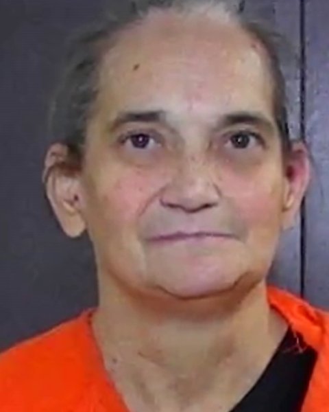 Mugshot of GINGER KAY JOHNSON
