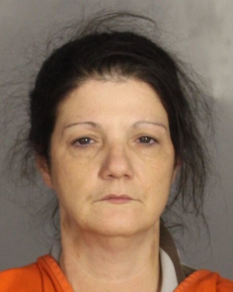 Mugshot of JERRILYN MICHELLE EMMETT