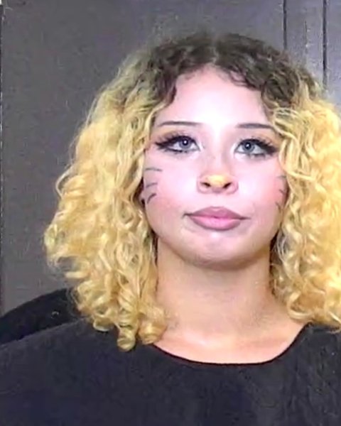 Mugshot of LILLIAN THORNTON