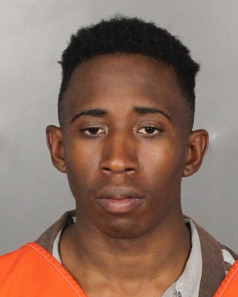 Mugshot of KELVIN, JR. WATKINS