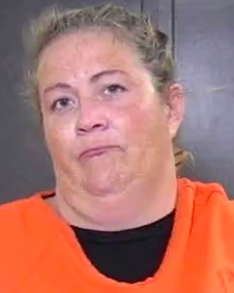 Mugshot of ASHLEY MICHELLE COOK
