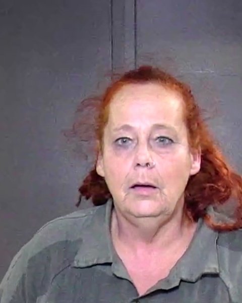 Mugshot of BRENDA CAROL EARY