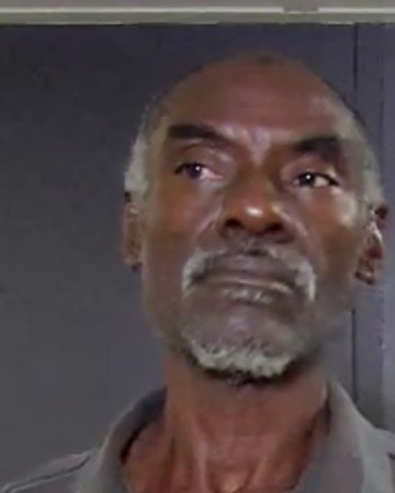 Mugshot of DAVID ALEXANDER PERKINS