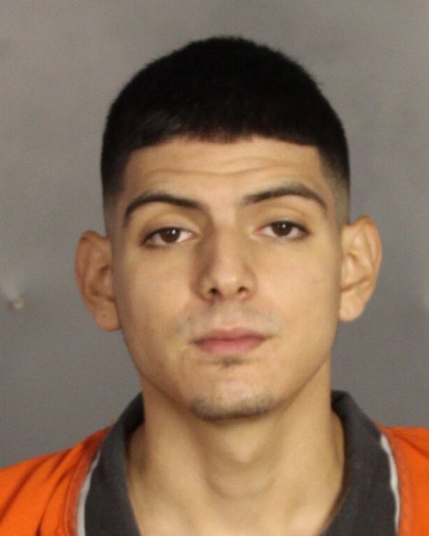 Mugshot of RYAN ERIC RODARDTE