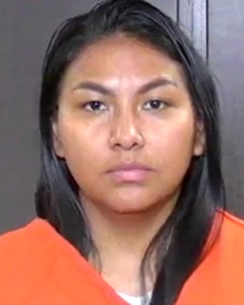 Mugshot of NAIROVIS PALMAR