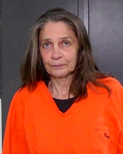 Mugshot of TERRI LOA
