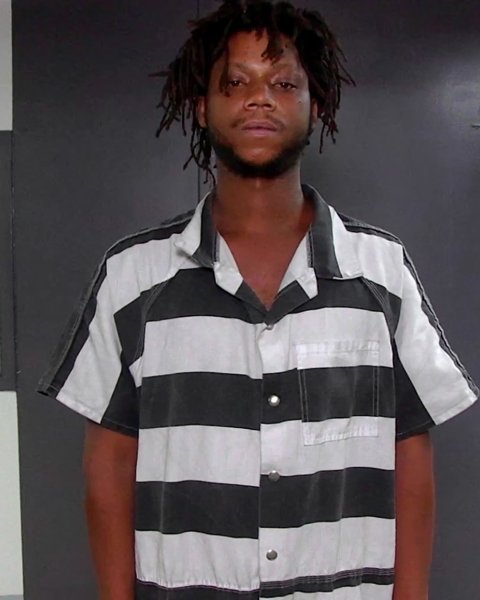 Mugshot of TEION DELION MCGOWAN