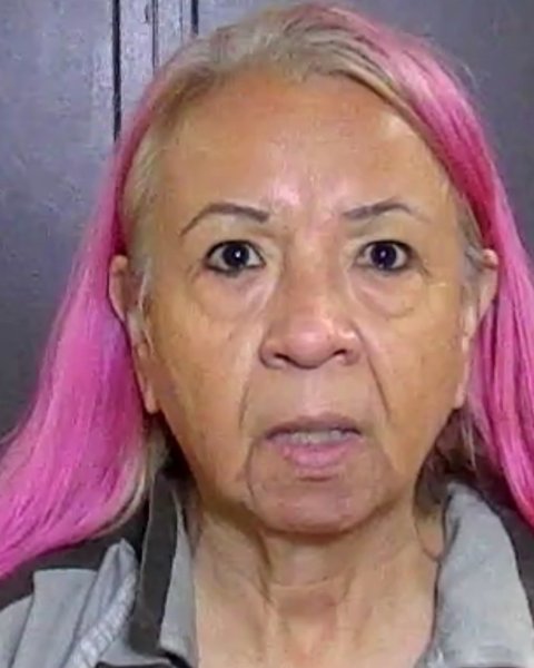 Mugshot of MARY DIANNA VALDEZ