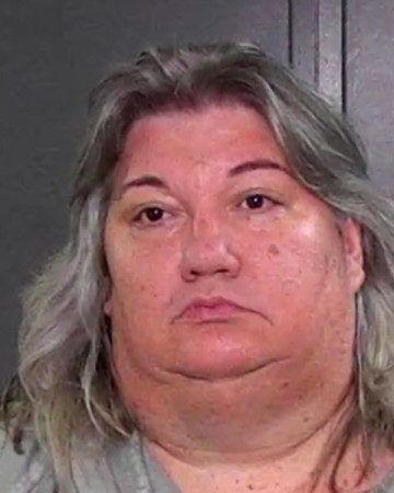 Mugshot of DINA MARIE STROUD