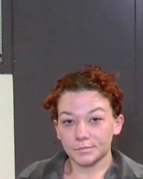 Mugshot of MICHAELENE DAVIS