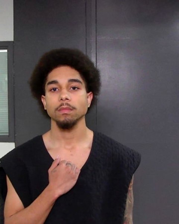 Mugshot of MELVIN LOUIS MITCHELL
