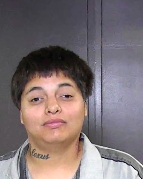 Mugshot of JULISSA GARCIA