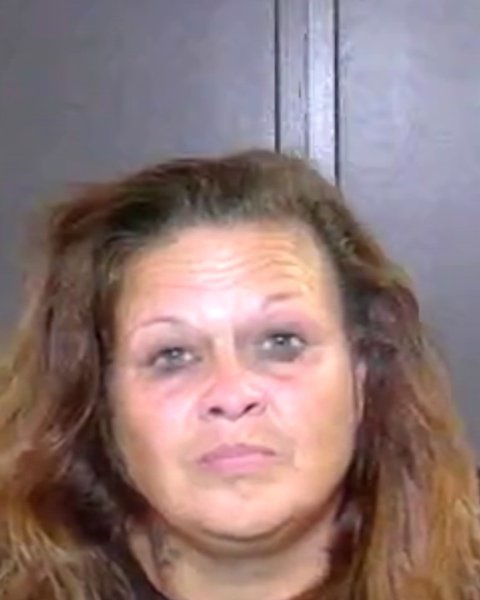 Mugshot of Sheila Lerma