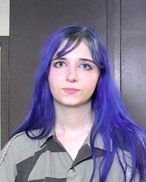 Mugshot of LILLY ANN ALLARD