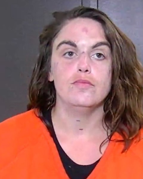 Mugshot of ERICA RAE IVY