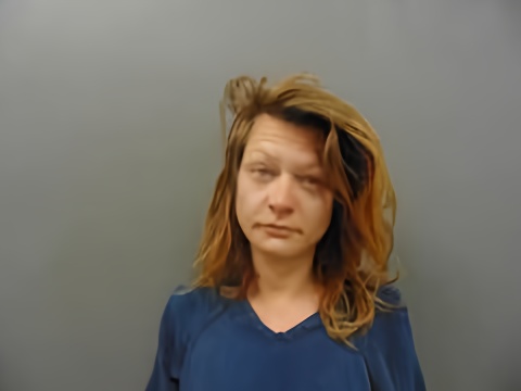 Mugshot of LORETTA HARVEY