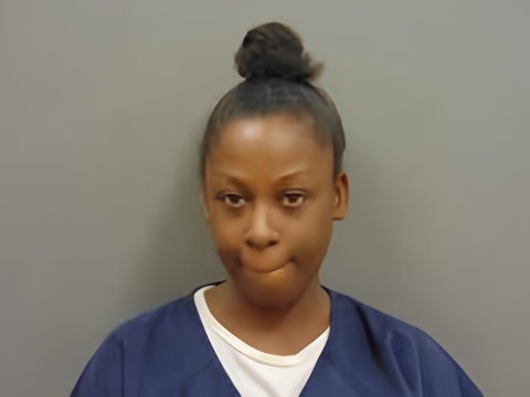 Mugshot of ASHLEY ZONA