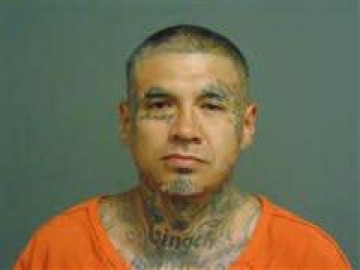Mugshot of JOSE HERNANDEZ